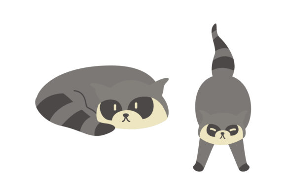 Cute Raccoon Animal Vector Illustration: A Designer's Guide