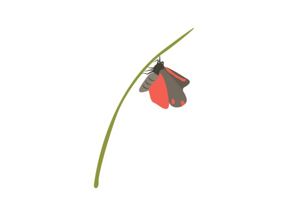 Designing with Nature: The Hesperiidae Butterfly Animal Illustration