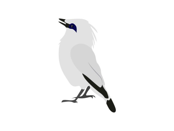 Designing with the Endangered Elegance of the Bali Starlings Bird Animal