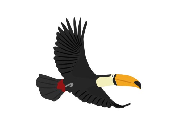 Exploring the Unique Appeal of Flaying Rhampastosidae Bird Animal