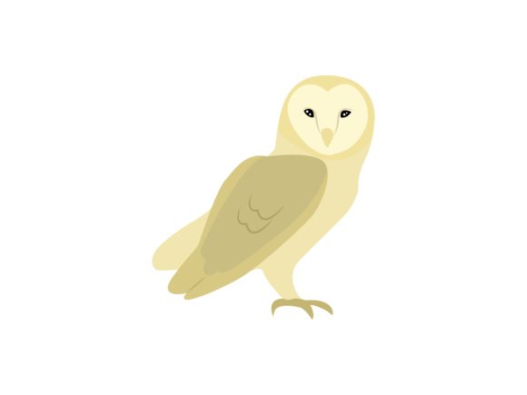 Owl Bird Animal: Nature's Wisdom in Your Designs
