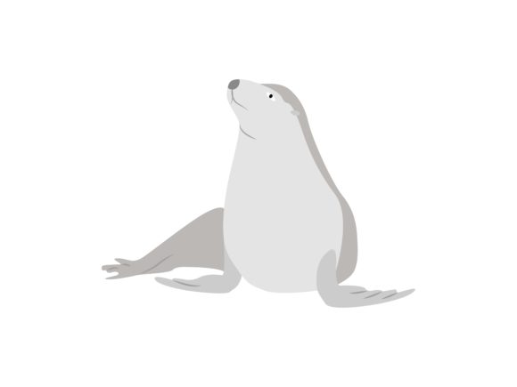 Seals Sit Animal: Your Go-To Playful Illustration Asset