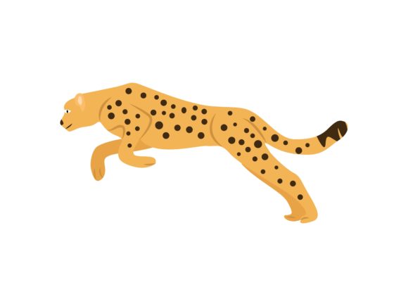 The Dynamic Energy of Cheetah Jumps Animal in Design
