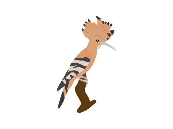 The Hoopoe Bird Animal: A Creative Asset for Modern Design