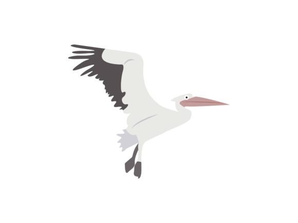 The Pelicans Bird Animal: A Versatile Design Asset for Creative Projects
