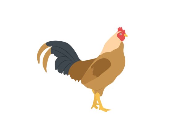 The Rooster Animal Illustration: More Than Just a Farm Icon