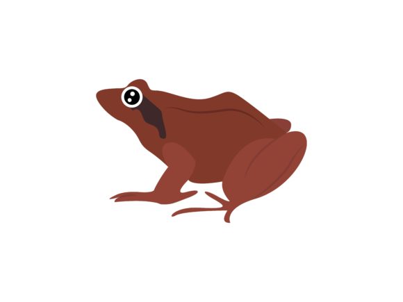 Unleashing Creativity with the Brown Frog Animal Illustration