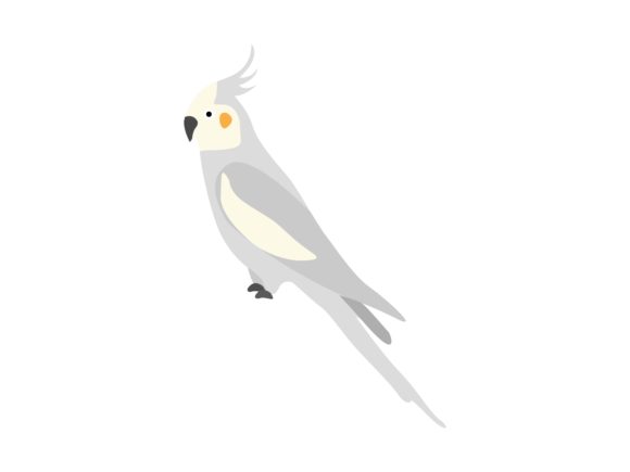 Weiro Bird Animal: A Modern Asset for Visual Storytelling